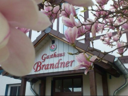 照片: Brandner